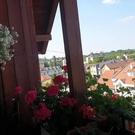Emerald Dream Homestay Novi Sad