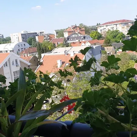 Emerald Dream Privatunterkunft