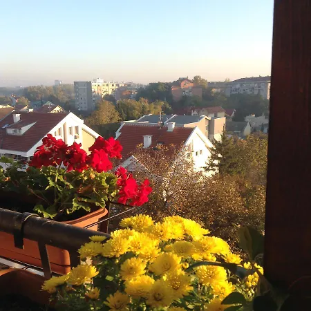 Emerald Dream Homestay Novi Sad