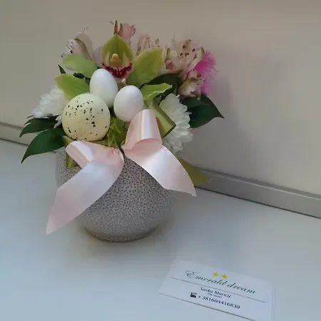 Privatunterkunft Emerald Dream *