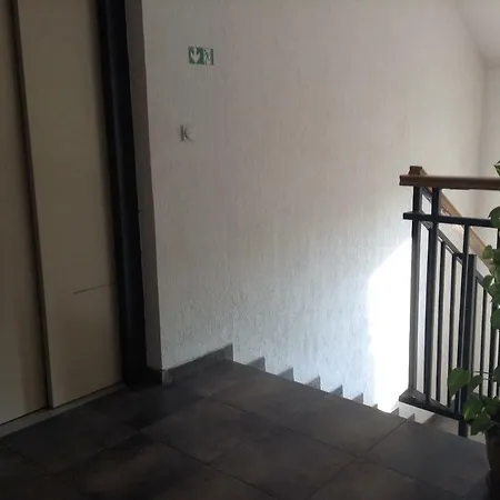 Emerald Dream * Novi Sad